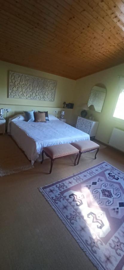 阿耶圭Vivienda El Olivo Con Piscina Privada Y Jardin.别墅 外观 照片